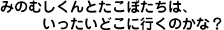 �݂̂ނ�����Ƃ����ڂ����́A���������ǂ��ɂ����̂��ȁH