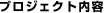 �v���W�F�N�g���e